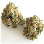 Шишки "White Widow"  (Белая вдова)  Гидропоника -  Бошка VHQ в Избербаше