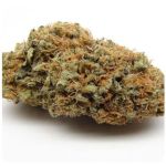 Шишки AK47  (Гидропоника, Бошка) VHQ в Избербаше